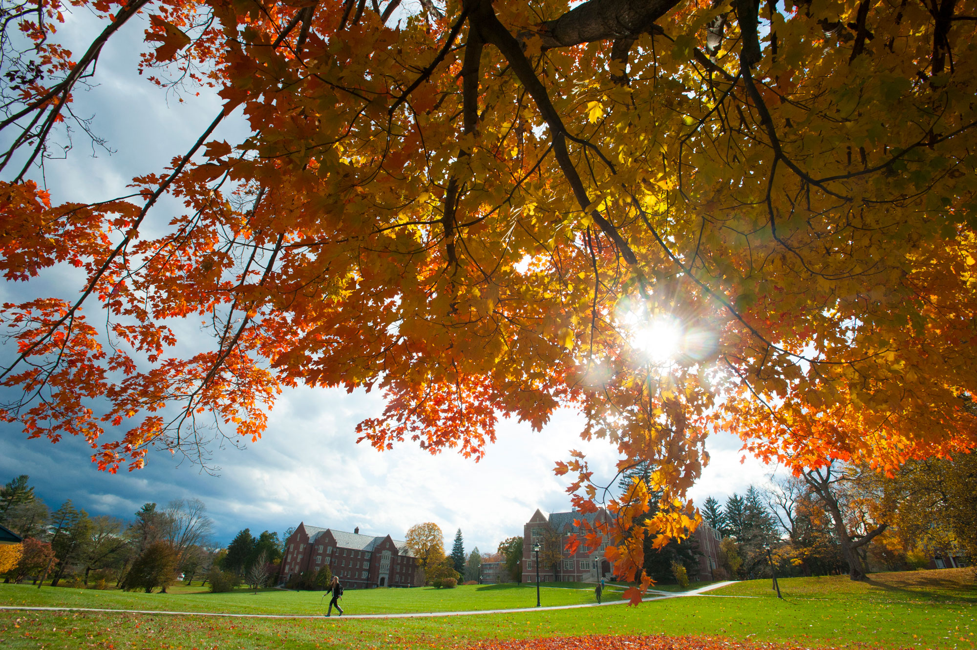 UConn Storrs campus in the fall