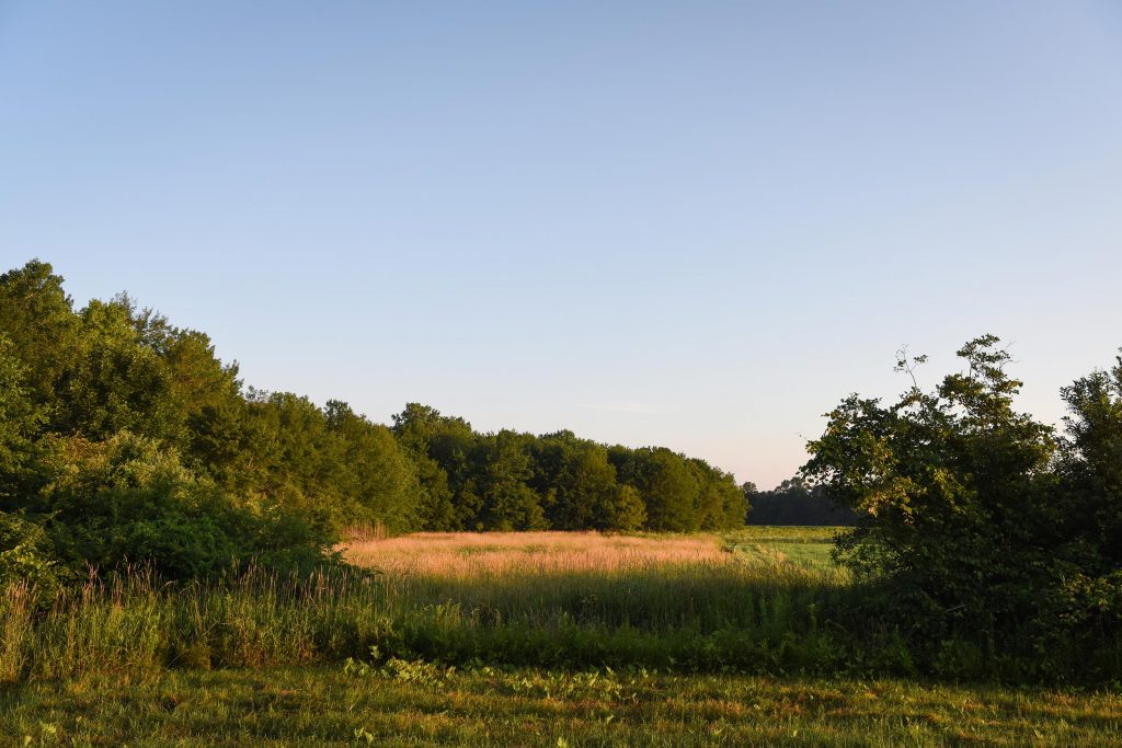 Flocking to Storrs - UConn Magazine