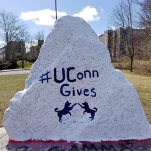 UConn Gives painted rock