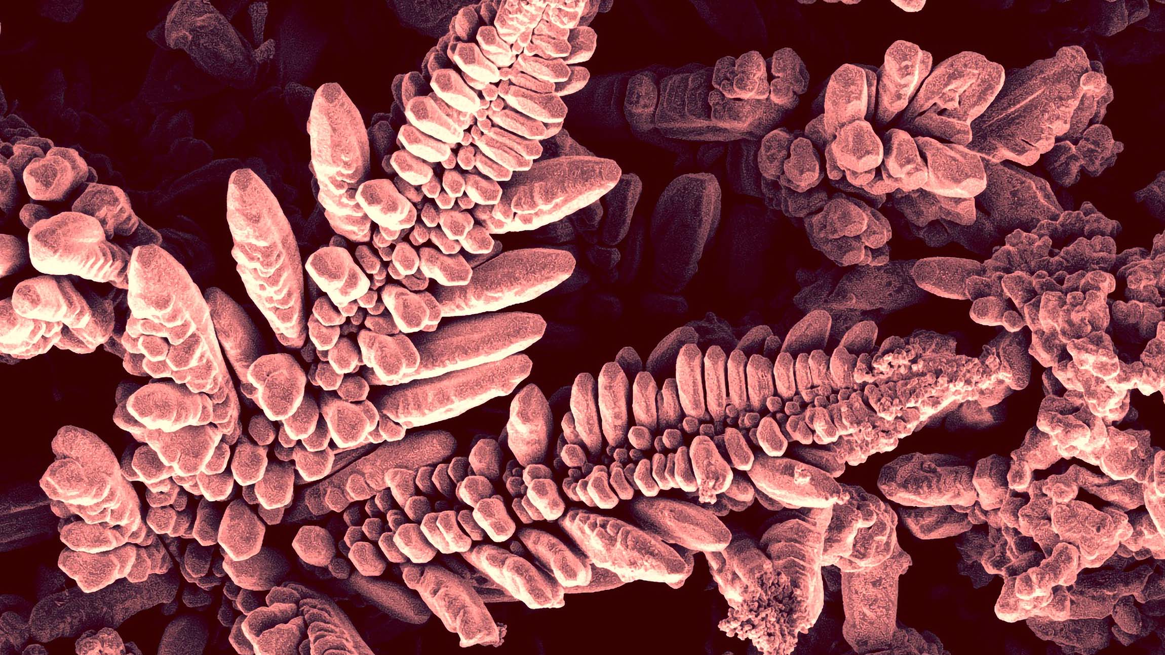 award-winning photo of copper under a powerful microscope