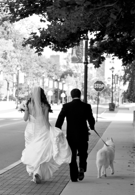 Richard Huntington and wife in wedding outfits walk their dog, Cal