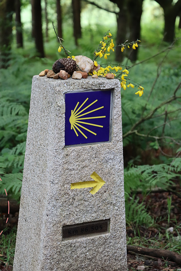 Trail markers with stones placed atop them