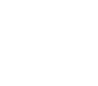 white shell icon