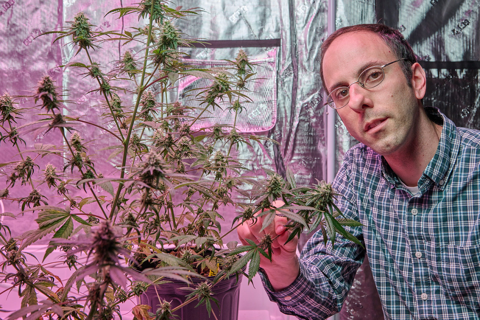 Matt DeBacco inside his class greenhouse amonst thriving flora
