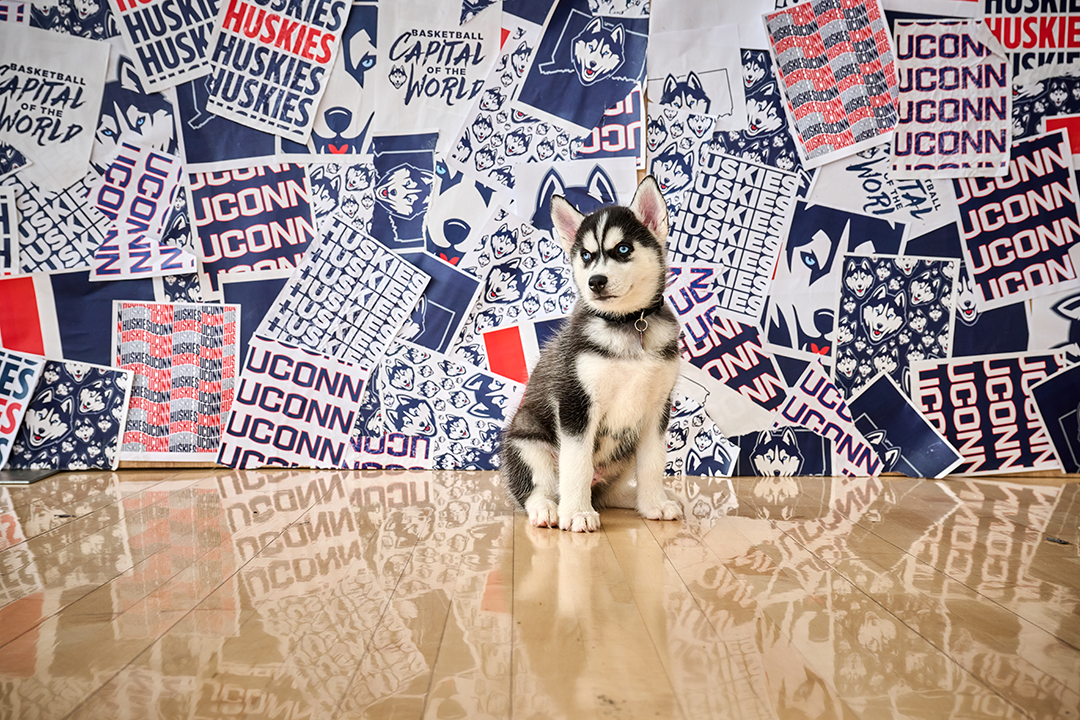 Jonathan XV poses in front of UConn athletic design material in his First Photoshoot.