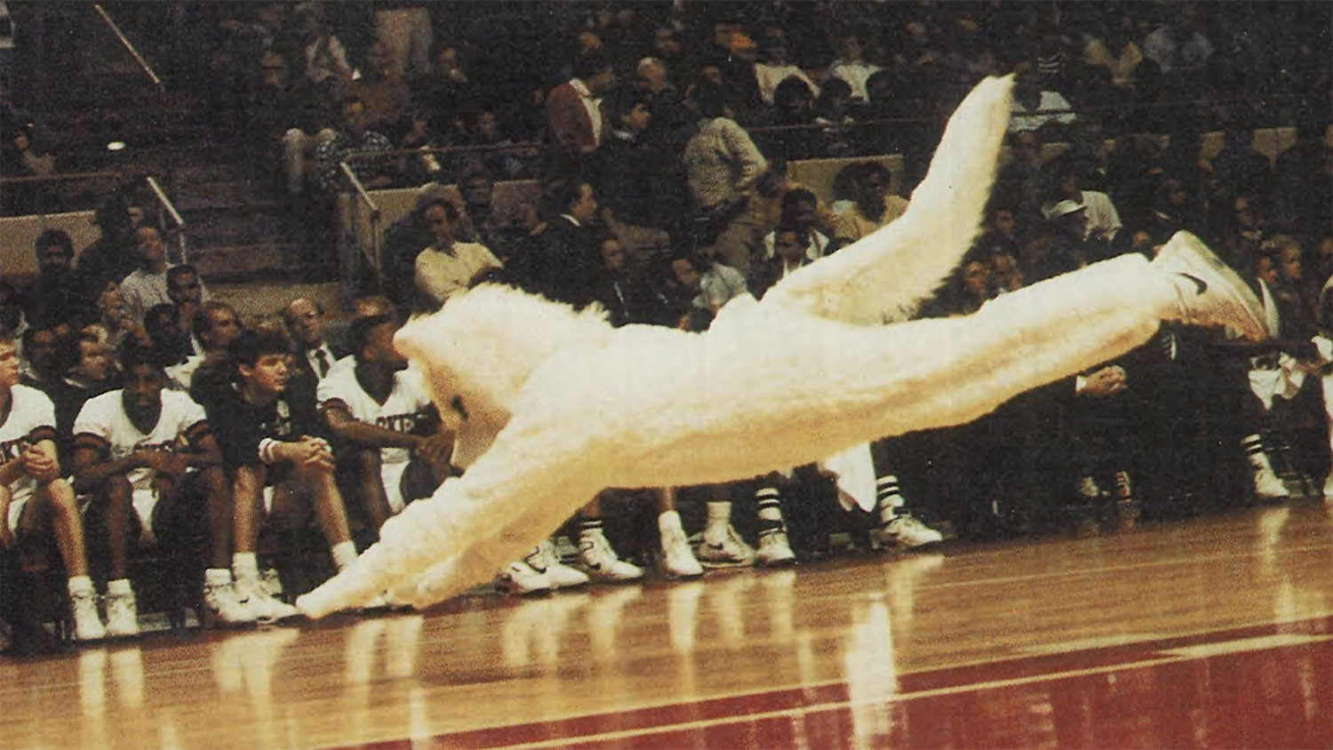 Jonathan the husky mascot performs on the basketball floor