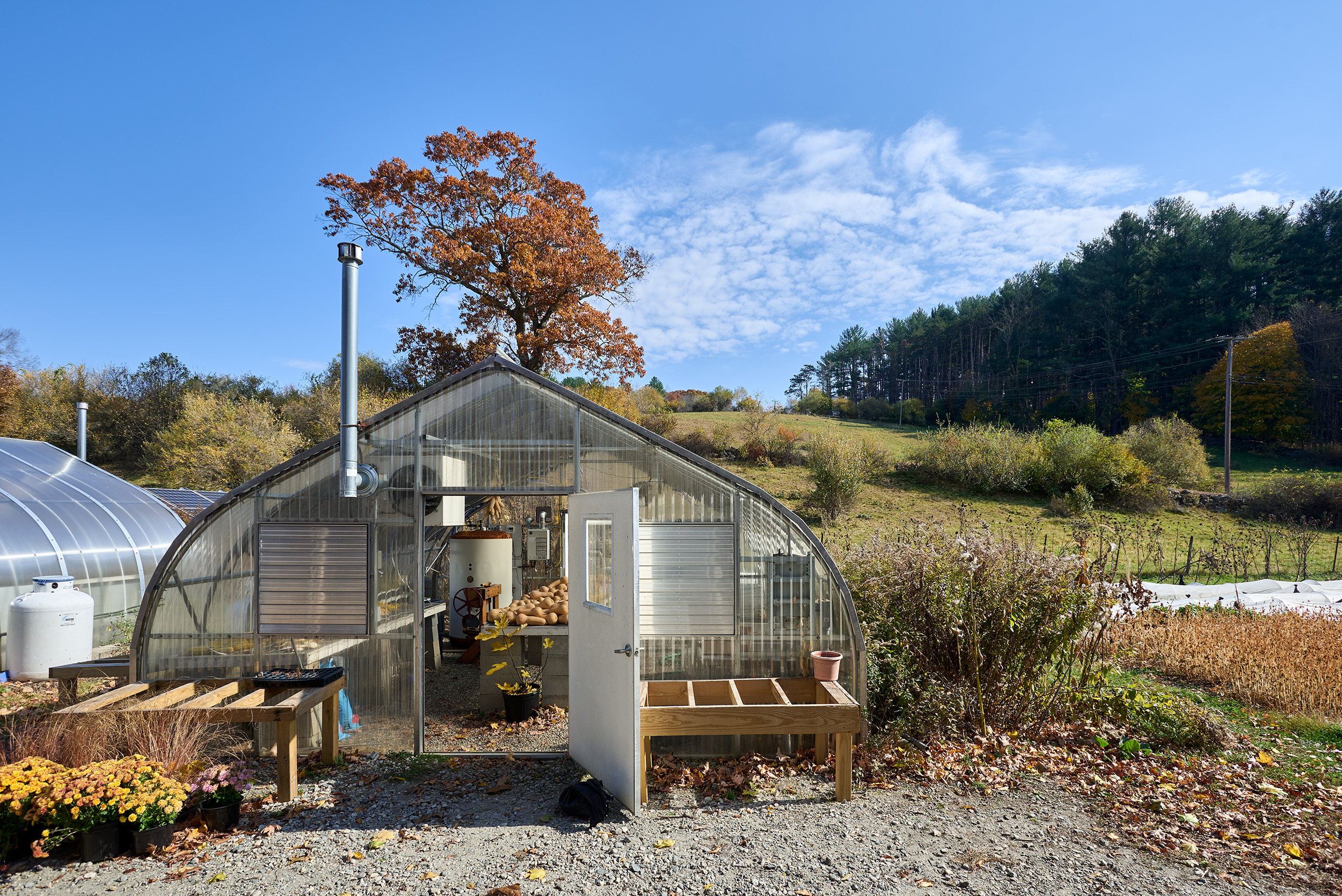 Greenhouse with an open white door leading into a table of butternut squash, with a green hill and clear sky in the background.