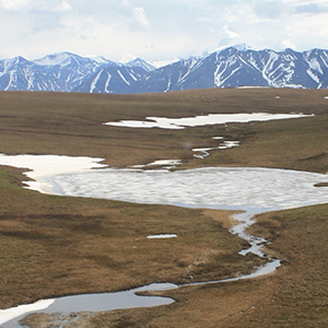 Alaskan landscape