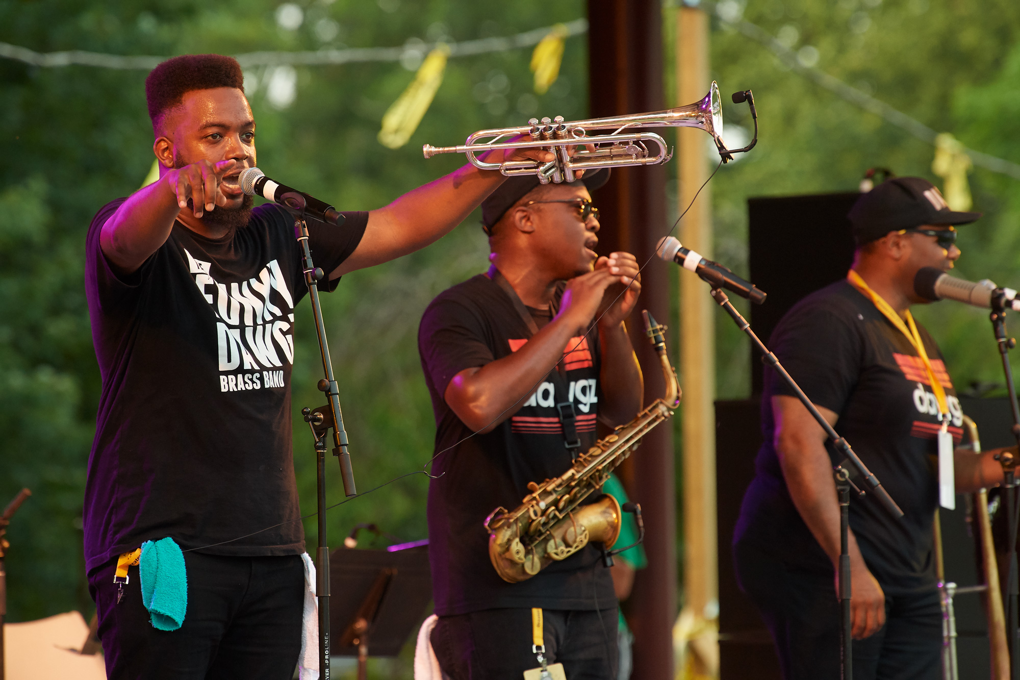 Funky Dawgz At Hartford Jazzfest this summer