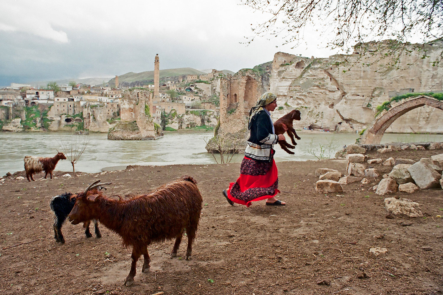 Kurdish woman tending her flock in Hasankeyf, Turkey, 2004.