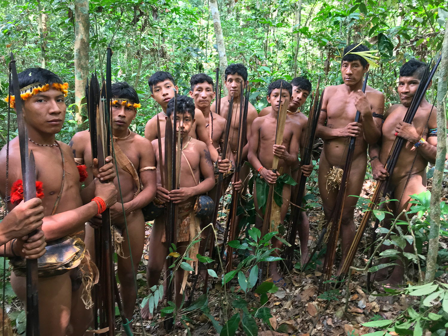 Group of young Awa men with their hunting bows and arrows in Juriti, AwÃ¡ Indigenous Territory, Brazil, 2017.