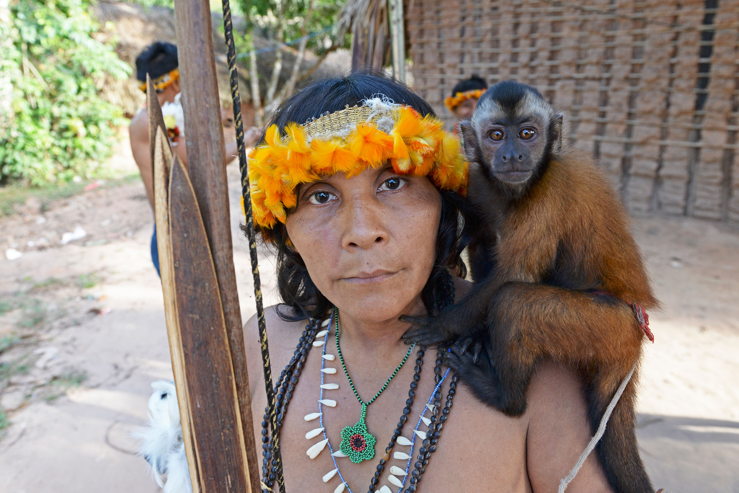 AwÃ¡ woman, in a toucan feather headdress, holds a hunting bow and arrows while a pet monkey sits on her opposite shoulder in CarÃº Indigenous Territory, Brazil, 2017.