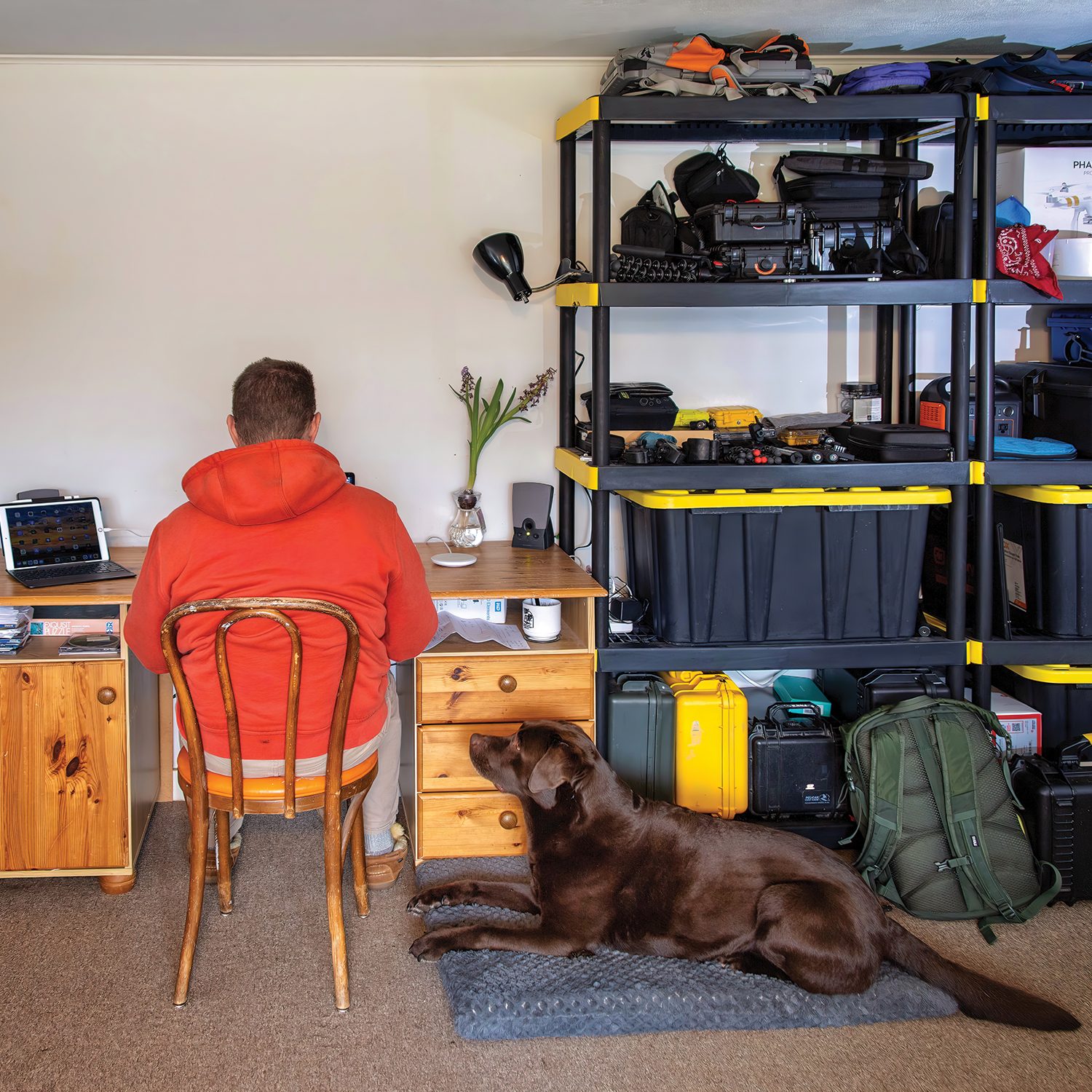 Levin in his makeshift home office with his chocolate Lab, Acadia