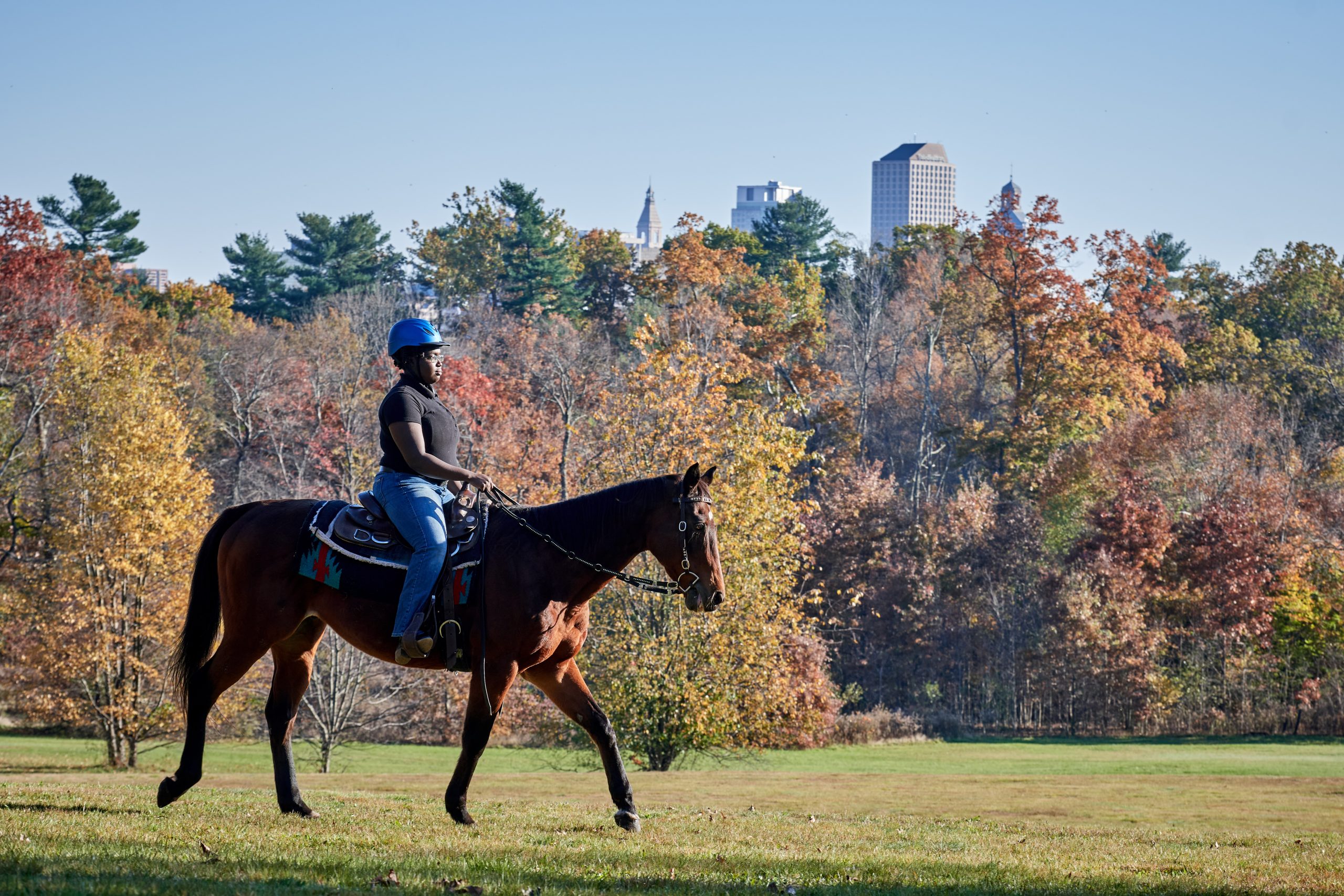 Woman rides horse in Keney Park with fall foliage and Hartford skyline behind her