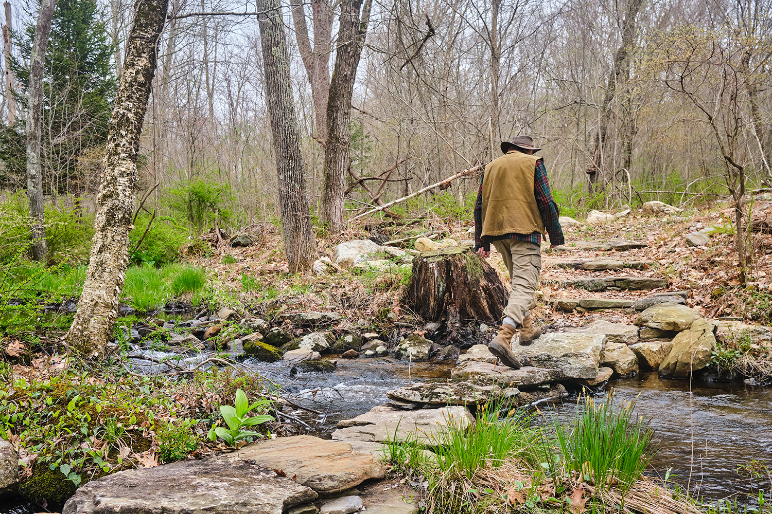 Frank Costigliola walks through woods