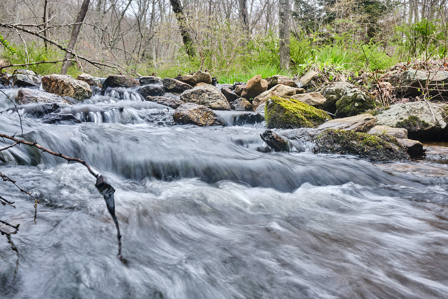 babbling brook