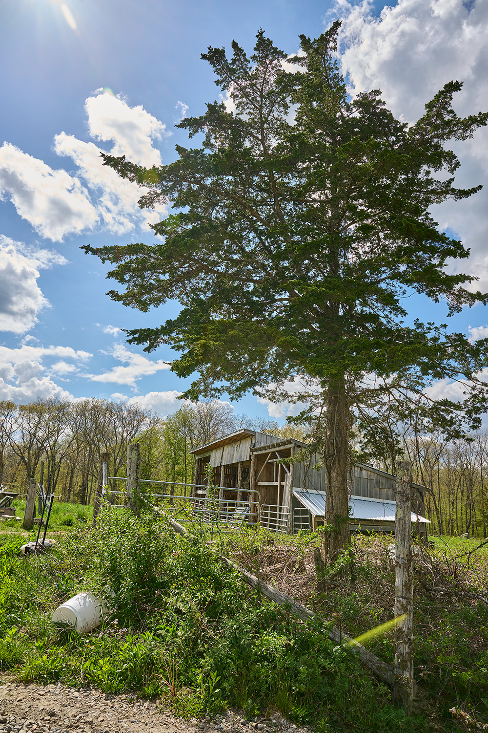 wooden shed in West Field