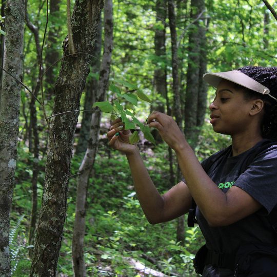 Jasmine Brown at a hiking path