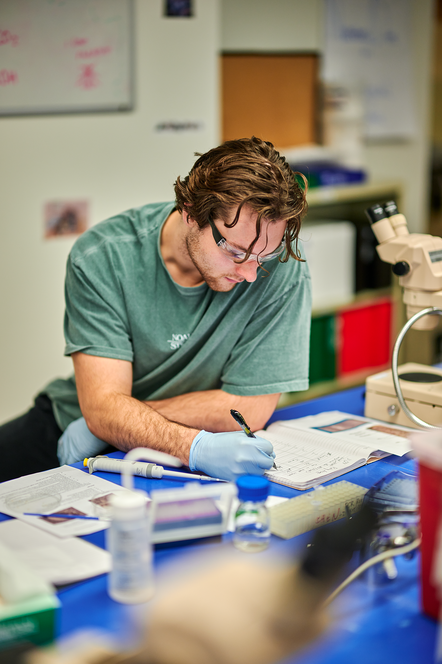 Fruit fly research at the Torrey Life Sciences Building on Nov. 29, 2023. (Peter Morenus/UConn Photo)