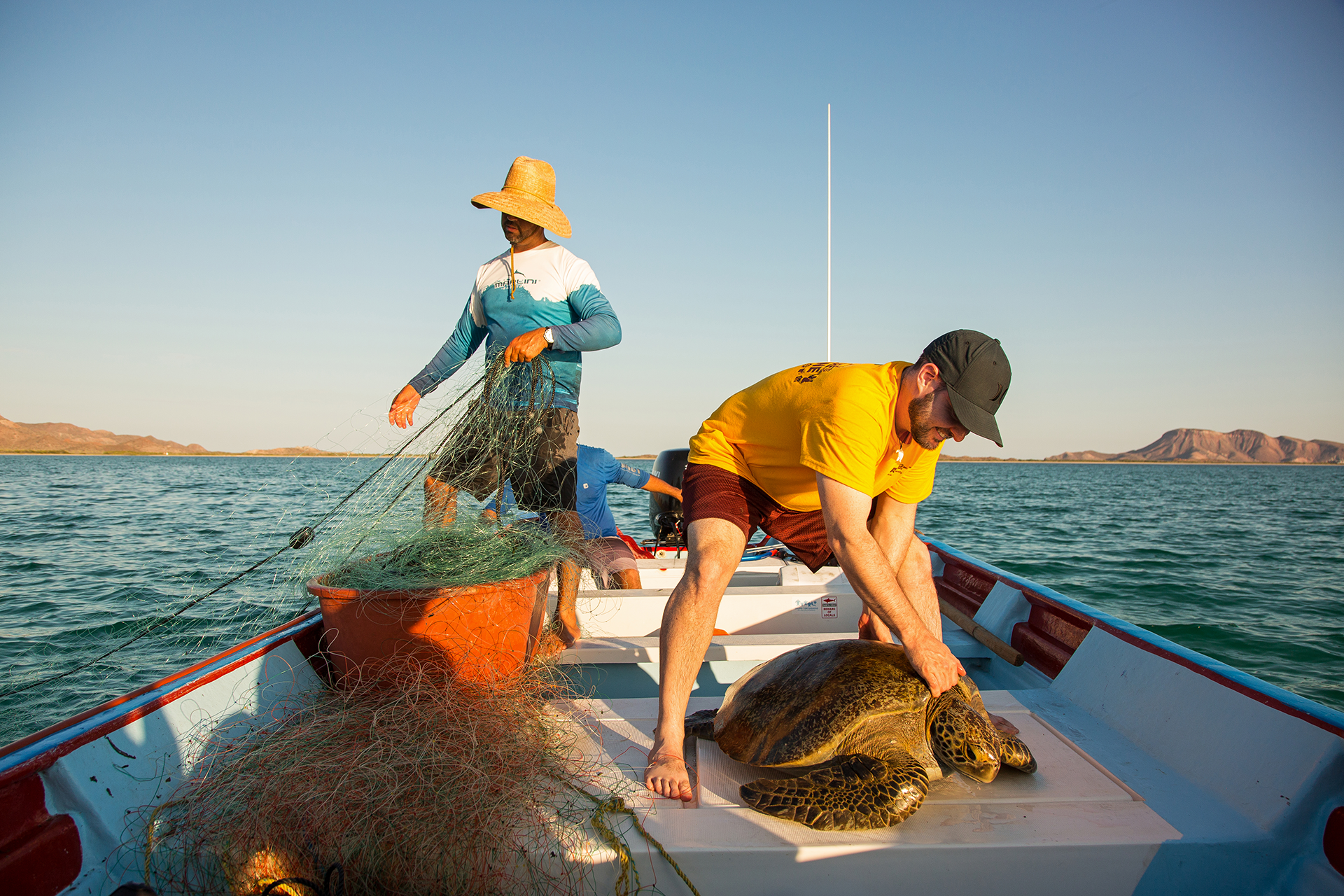 Jesse Senko with a green sea turtle on Sea of Cortez, Baja California, Mexico.