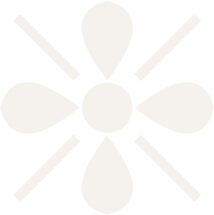 wingding ornamental glyph
