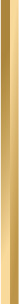 decorative-line decorative line