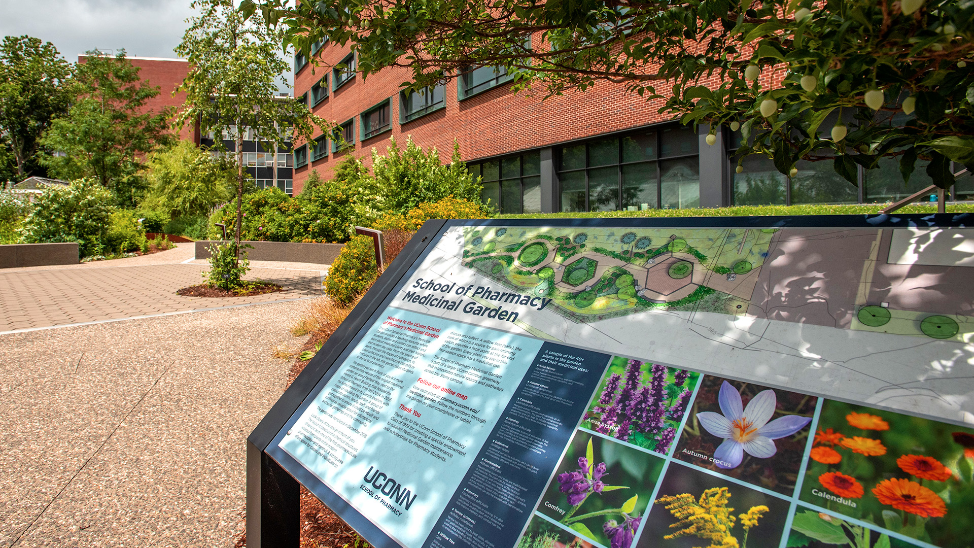 pharm_230710a0096 Medicinal Garden Signage outside the School of Pharmacy