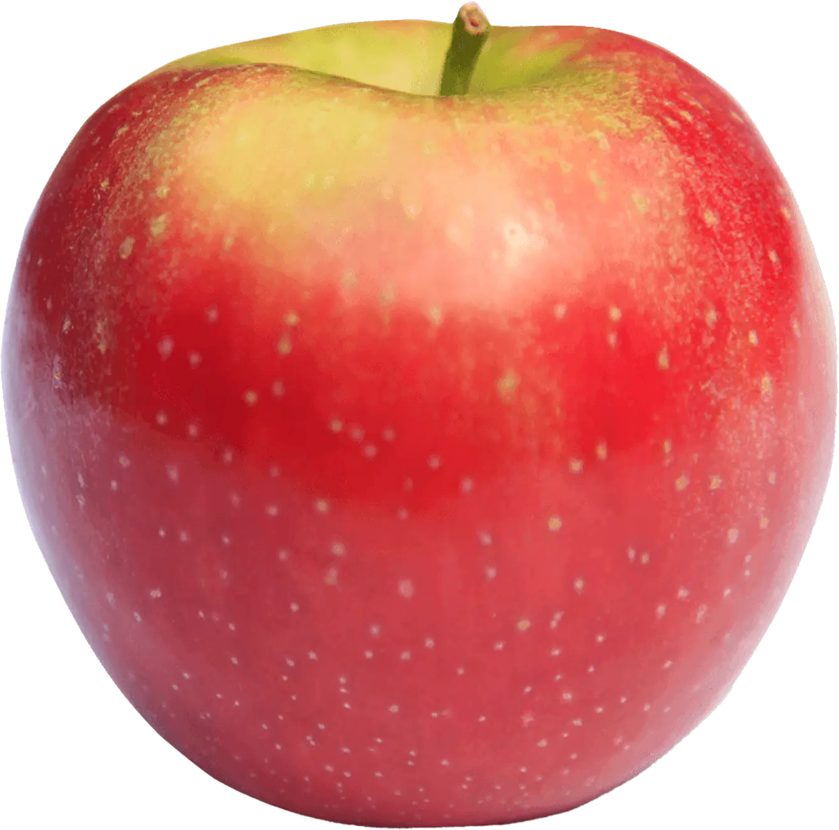 SnapDragon apple