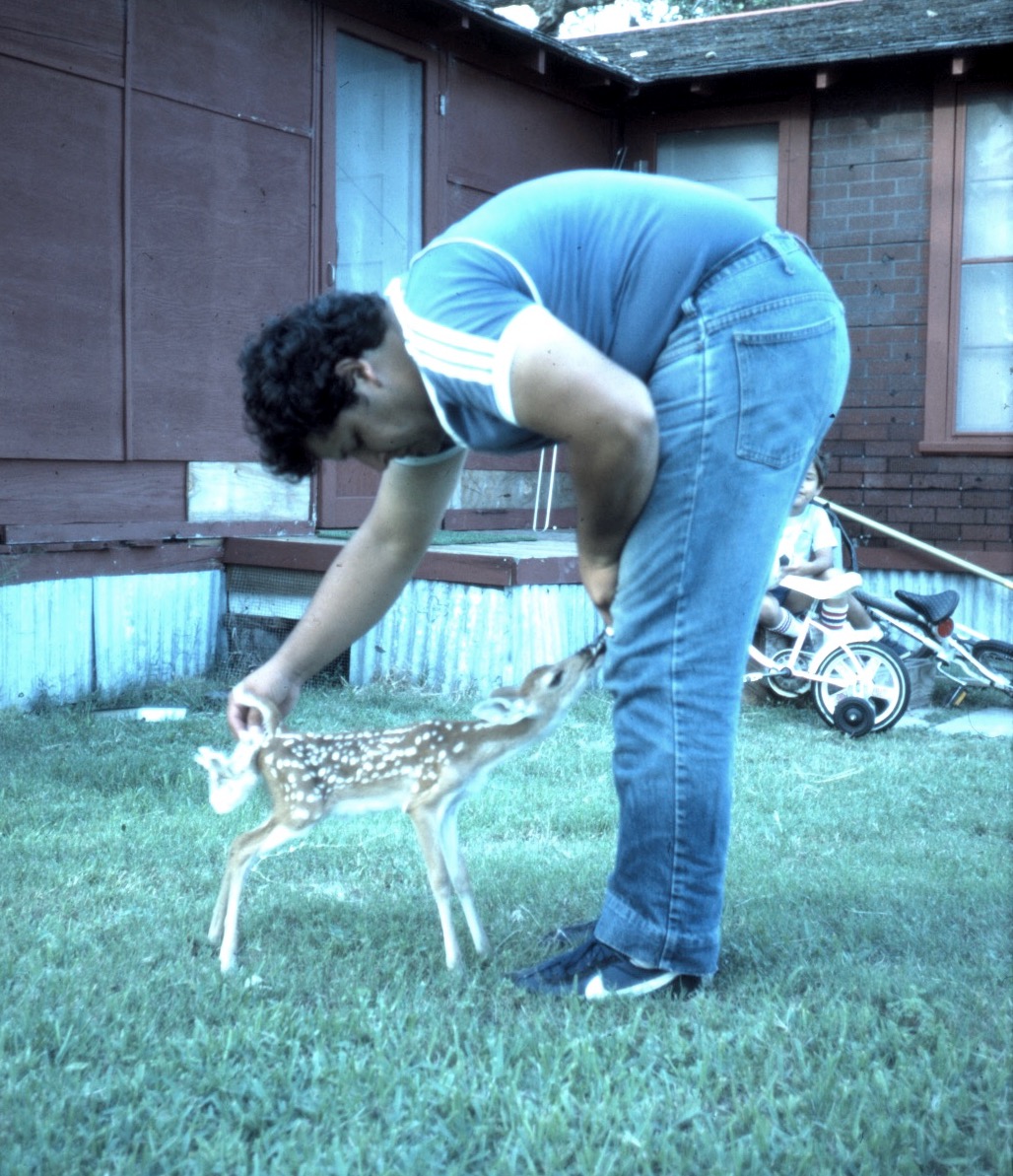 Morty Ortega wearing a blue T-shirt and jeans feeds a fawn in a 1987 photo
