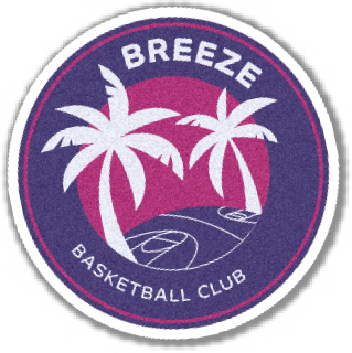 Unrivaled Breeze basketball team logo