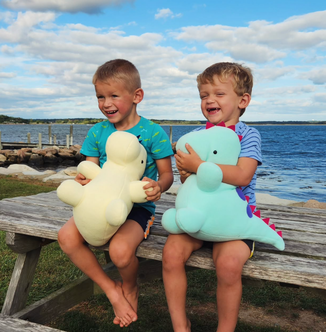 Two young boys sitting on a picnic table in front of the ocean smile and hug plush dinosaurs 