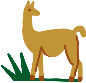 illustration of a llama