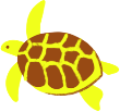 illustration of a turtle