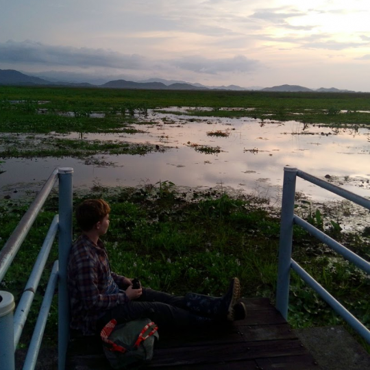 Aquinnah Machesney looks out over a beautiful marsh in Costa Rica.