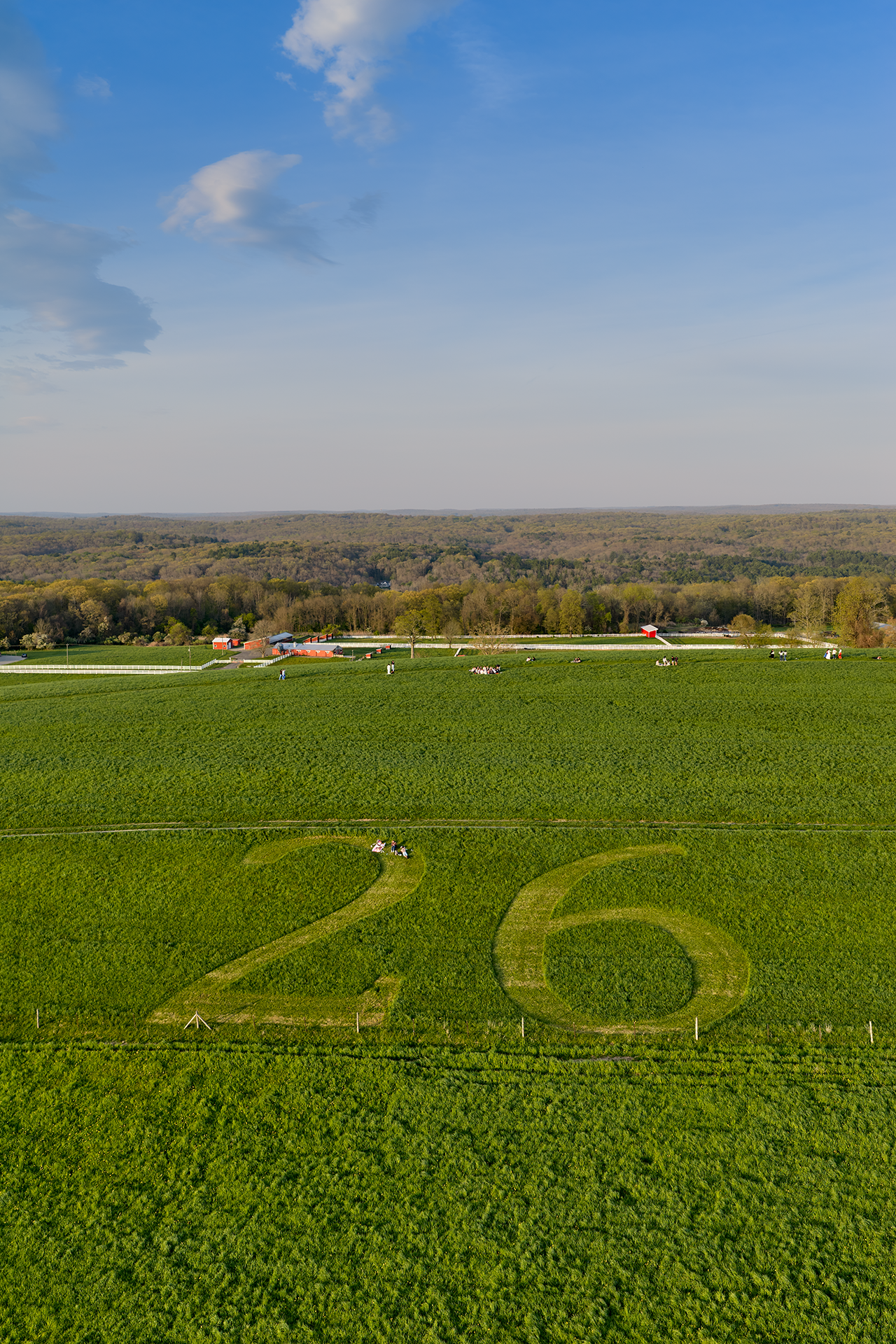 A field of grass has the number 26 carved into it.