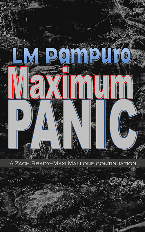 Cover of Lynn Patarini's book, "Maximum Panic."