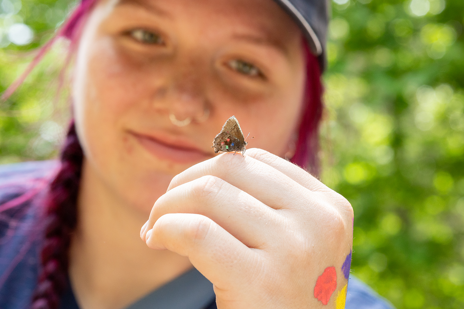 A small, fuzzy butterfly with four colorful dots perched on someone’s finger.