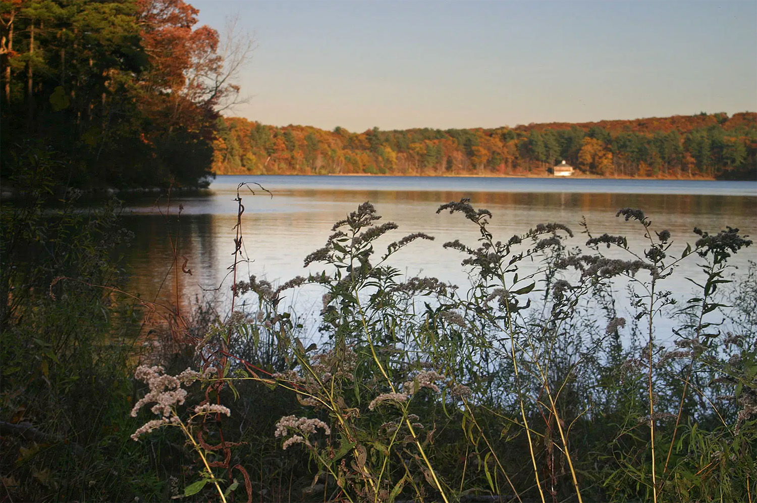 A modern photo looking across the pond to Eastern Shore's bathhouse.
