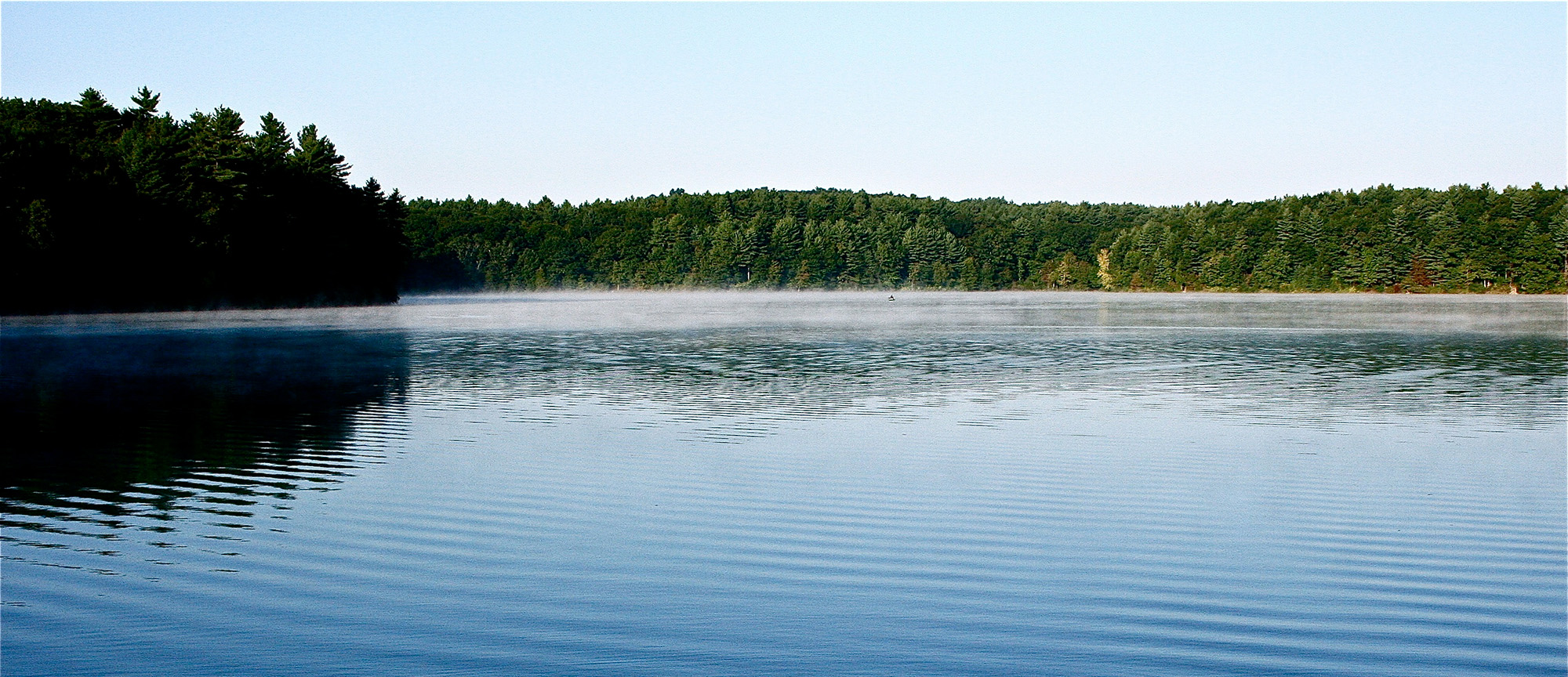 A modern photo of Walden Pond, featuring lush greenery and a little mist over the pond.