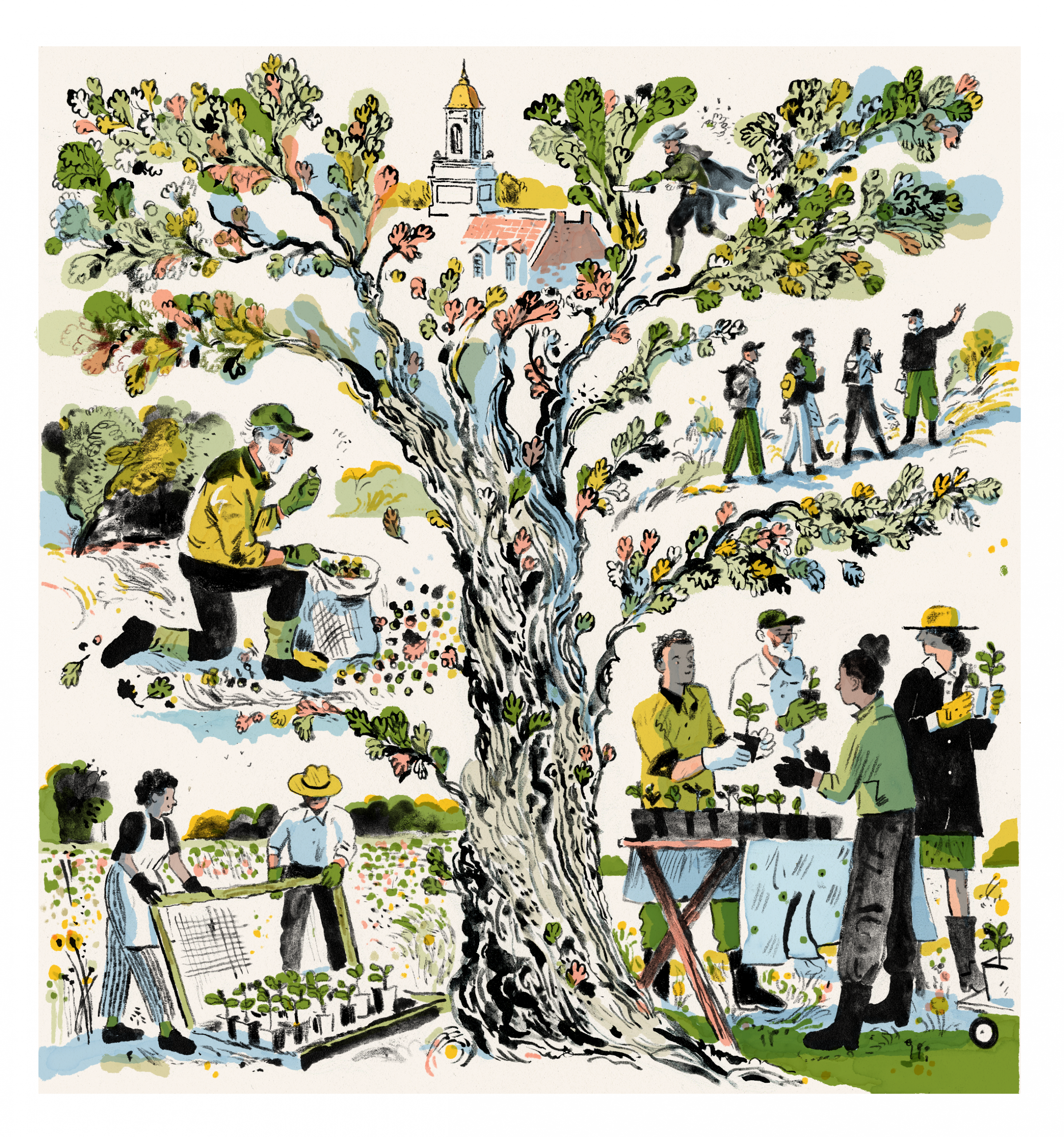 An illustration by Peter Oumanski featuring textured linework of a tree weaving its way around UConn's Wilbur Cross, students and professors engaging in horticulture.