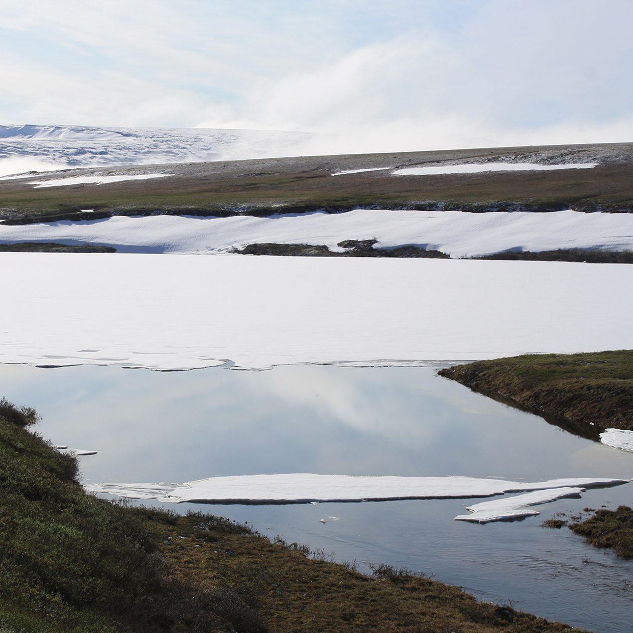 The disappearing snowpack that greeted researchers in Alaska last spring.